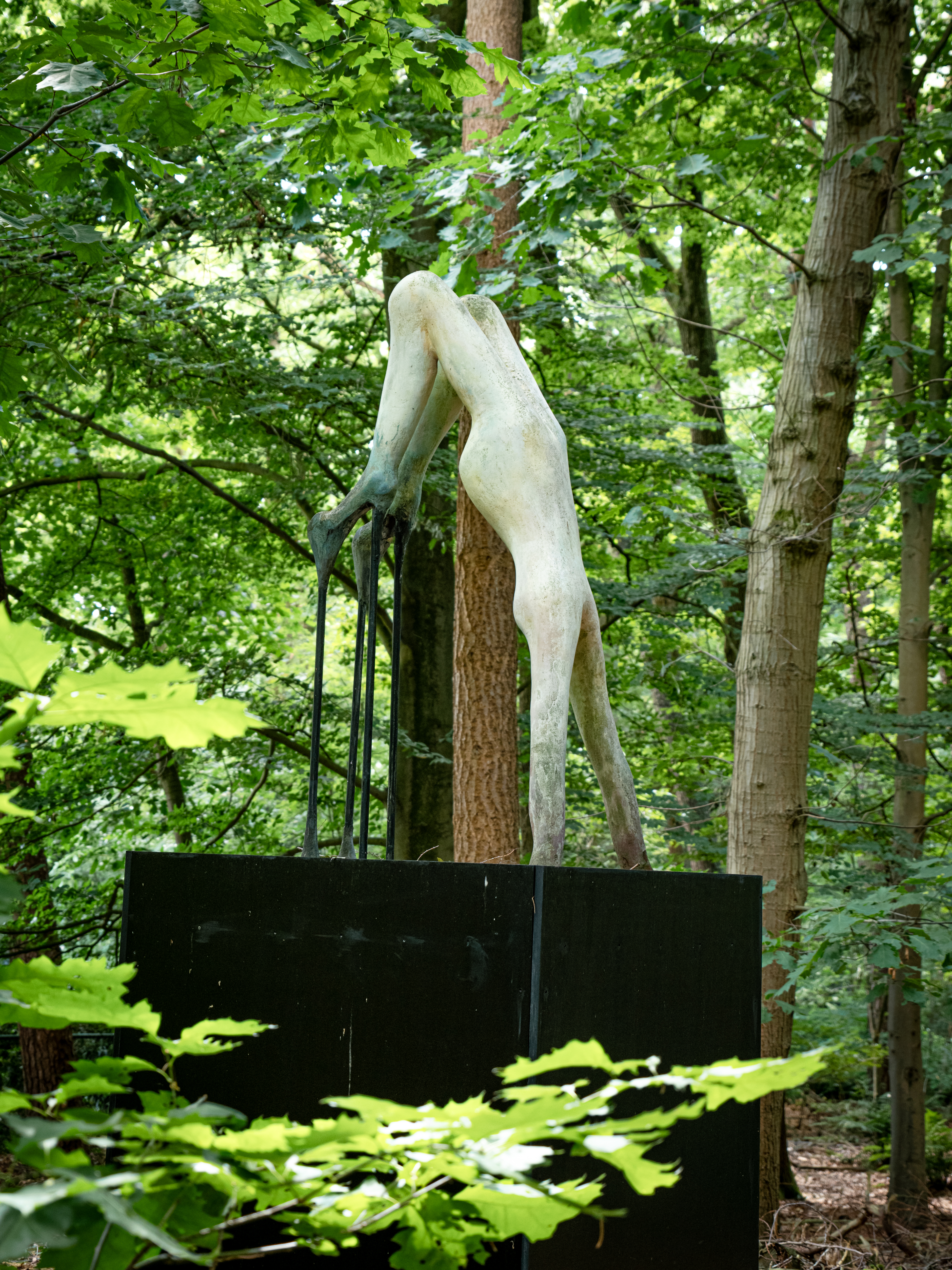 Work 1 Image